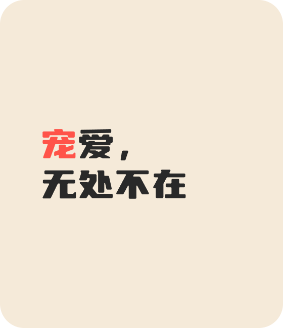 今年会jinnianhui宠物，无处不在