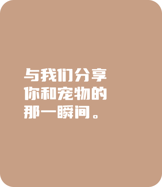 今年会jinnianhui宠物，无处不在